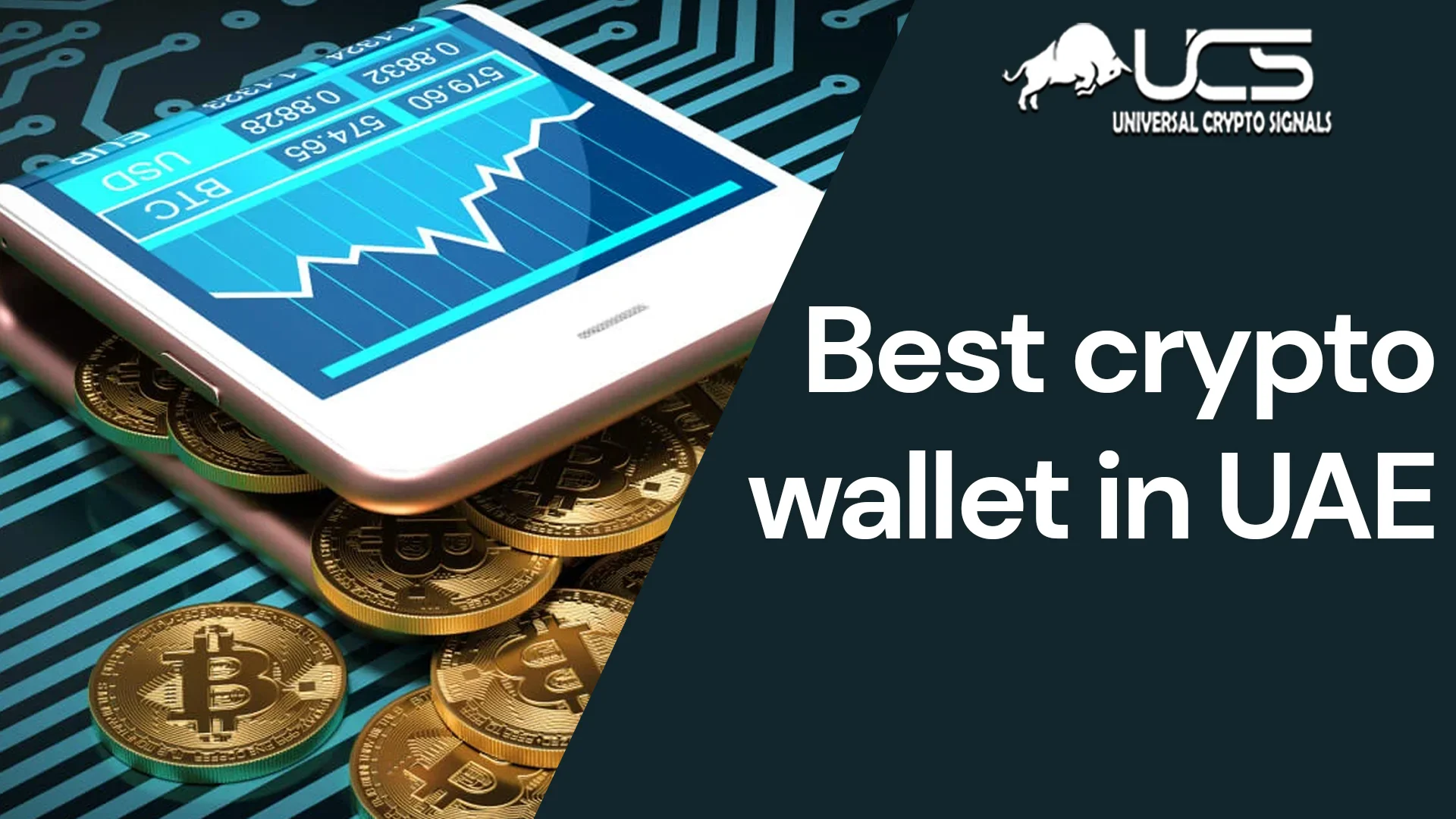best-crypto-wallet-in-uae